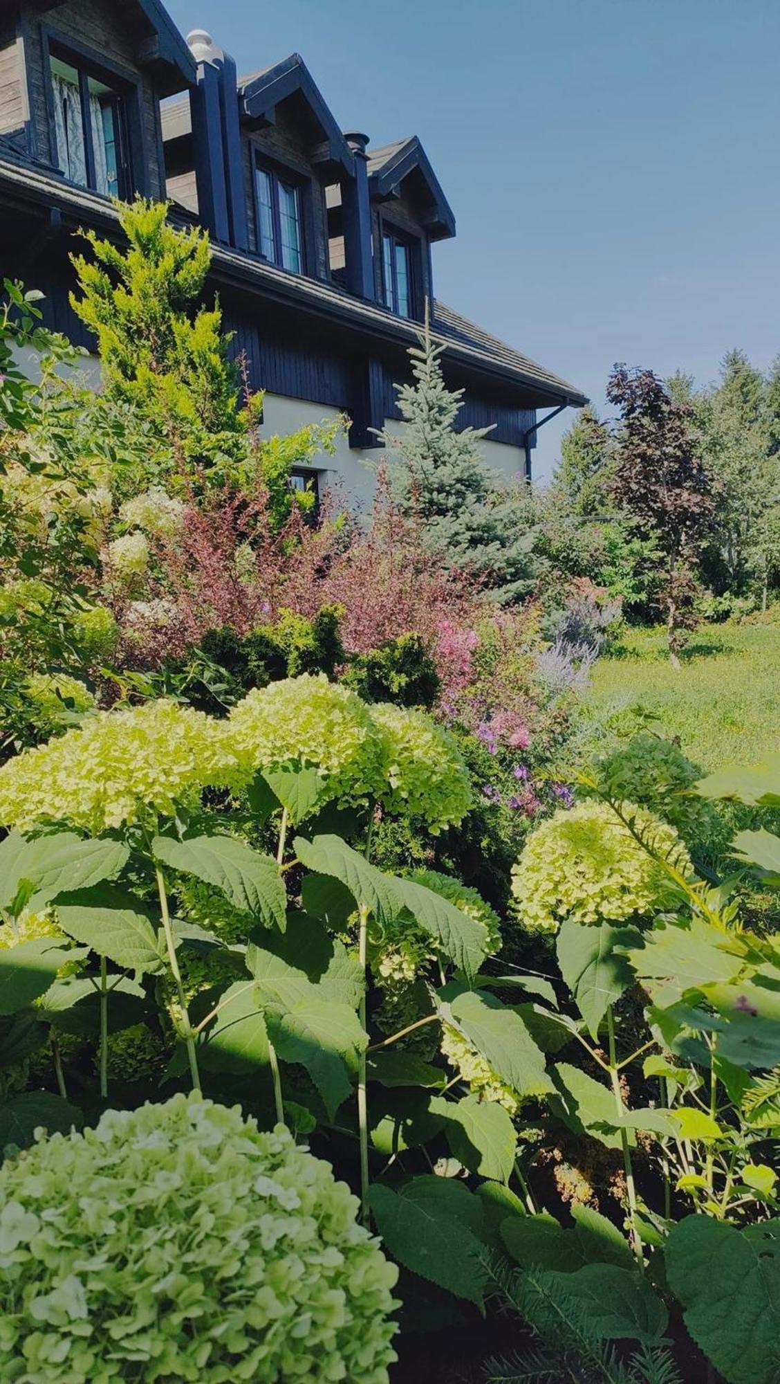 Osrodek Bialy Lew Bed & Breakfast Wojciechow  Exterior photo